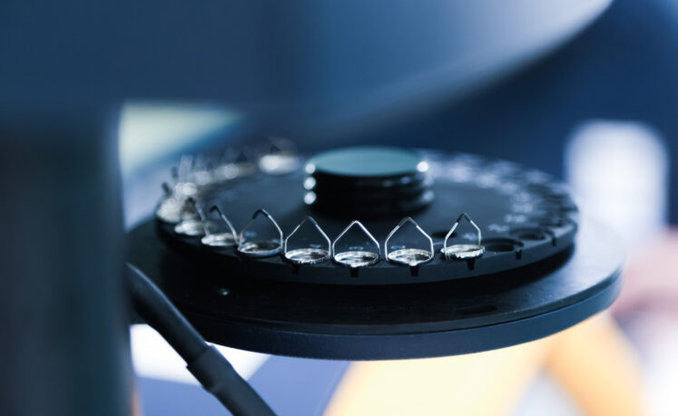 Candidate health checks and risk-benefit assessments