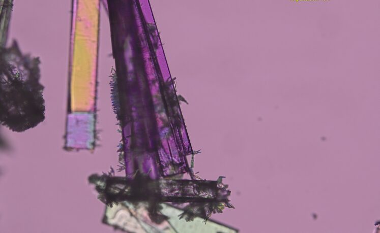 Cocrystals in drug development: From theory to application